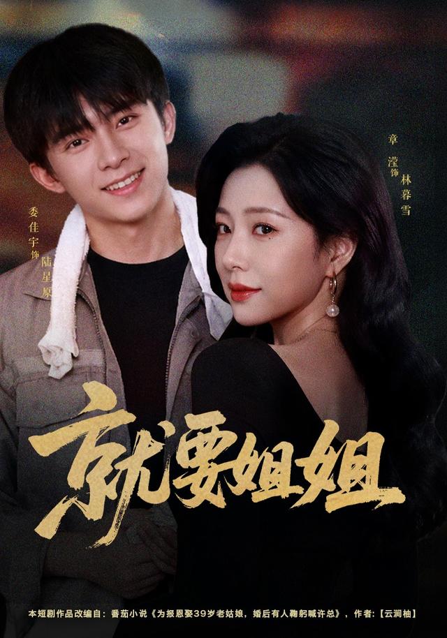 就要姐姐海报